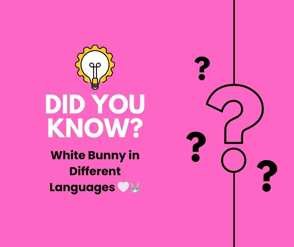 Bunny in Different Languages