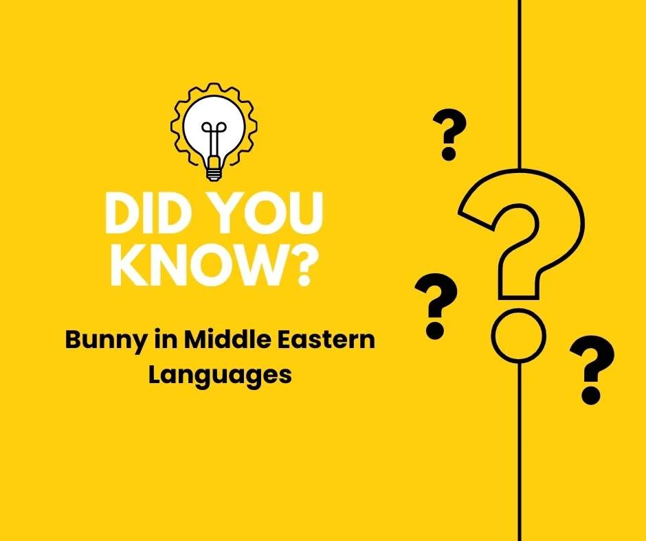 Bunny in Middle Eastern Languages