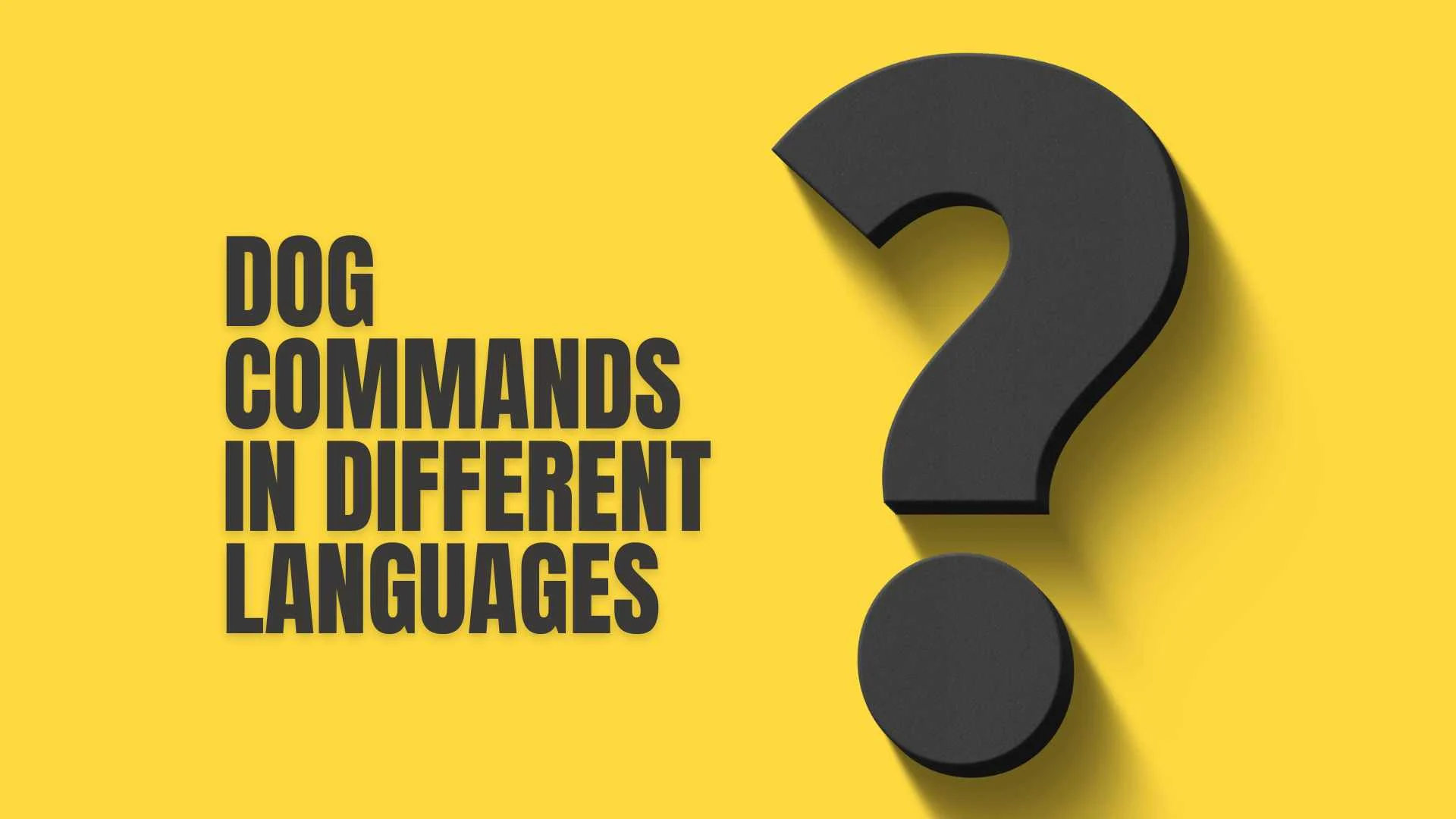 Dog Commands in Different Languages | Learn Sit, Stay, Come & More Worldwide 2026