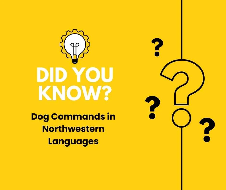 Dog Commands in Northwestern Languages