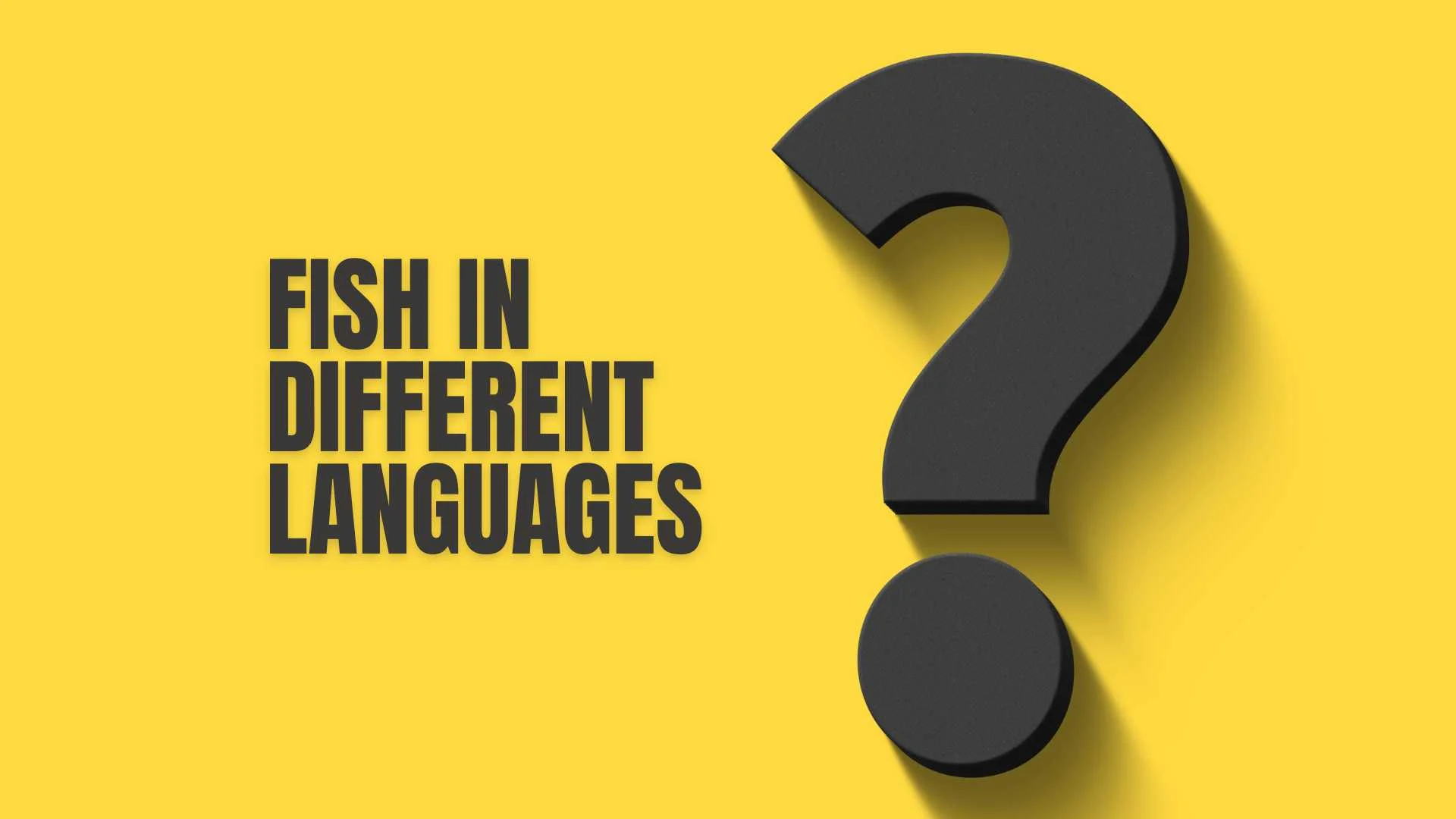 Fish in Different Languages | Global Meanings & Native Usage Guide 2026