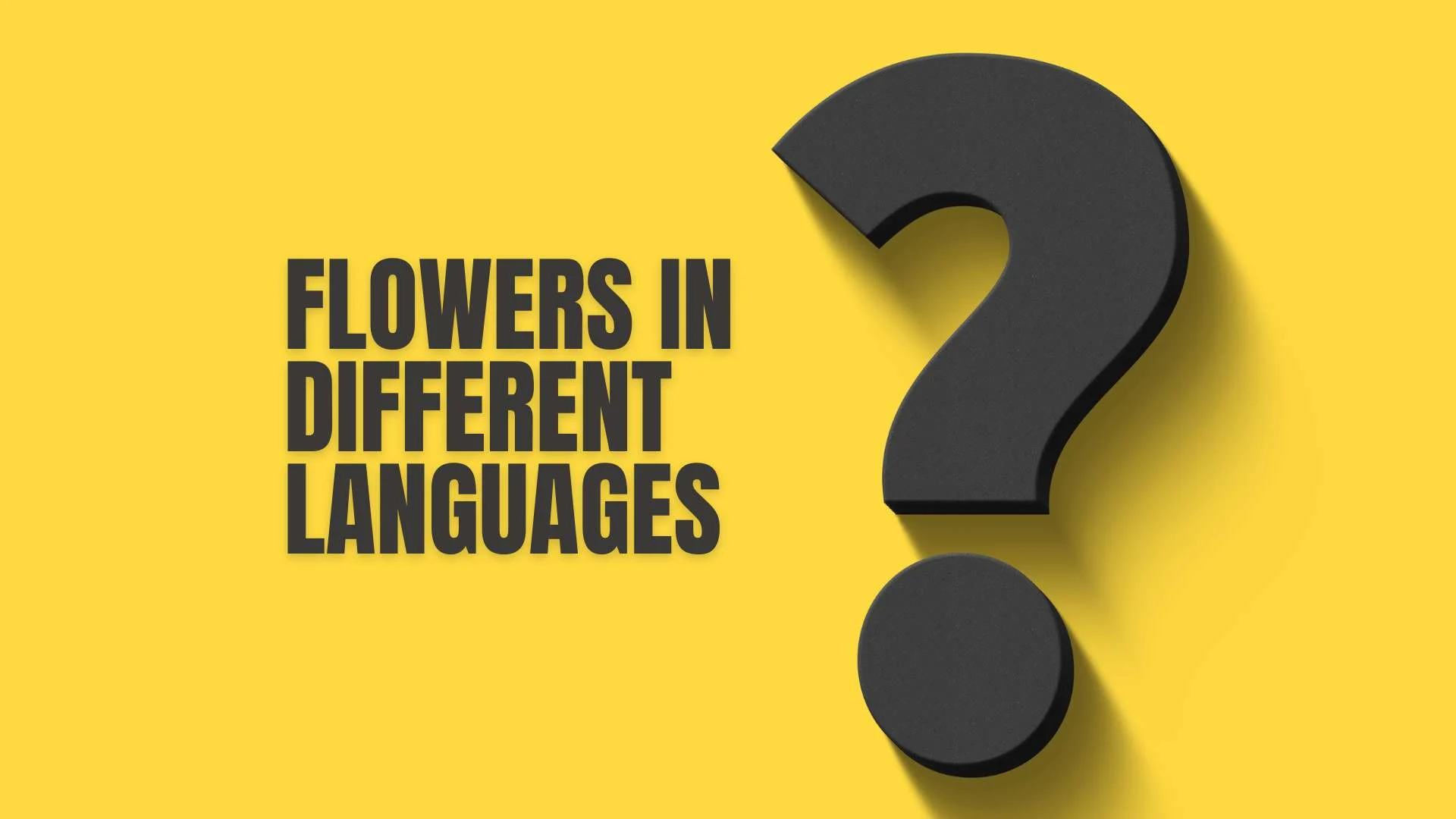 Flowers in Different Languages | True Native Expressions of Beauty 2026