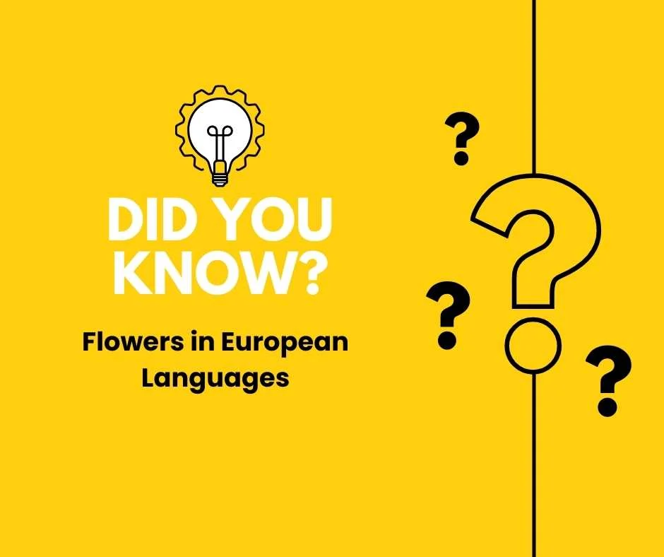 Flowers in European Languages