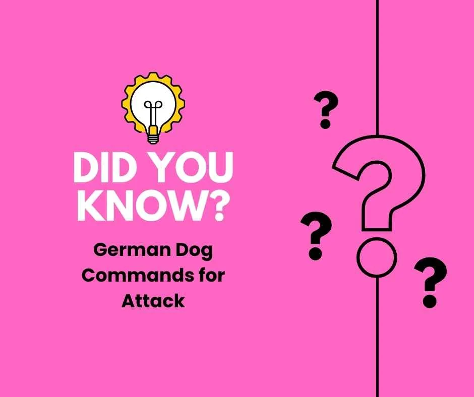 German Dog Commands for Attack