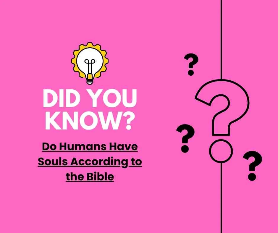 Do Humans Have Souls According to the Bible