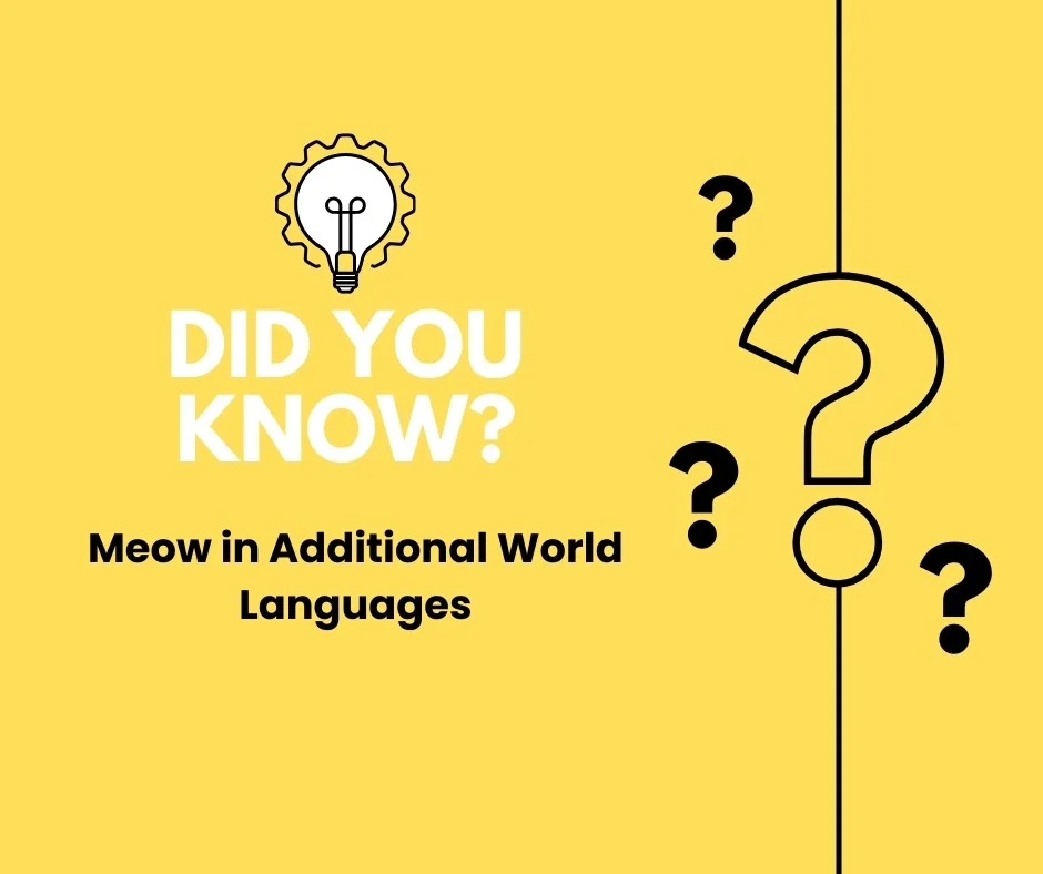 Meow in Additional World Languages
