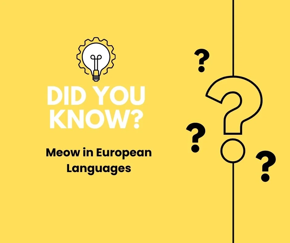 Meow in Different Languages