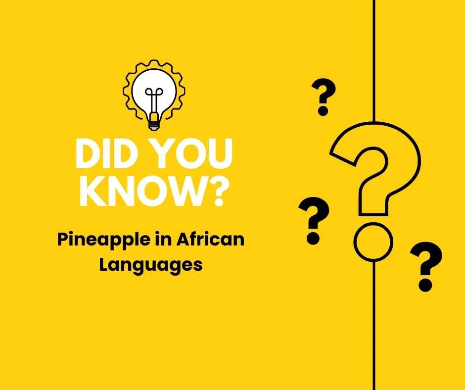 Pineapple in African Languages