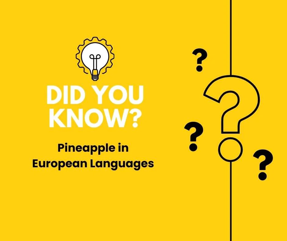 Pineapple in European Languages