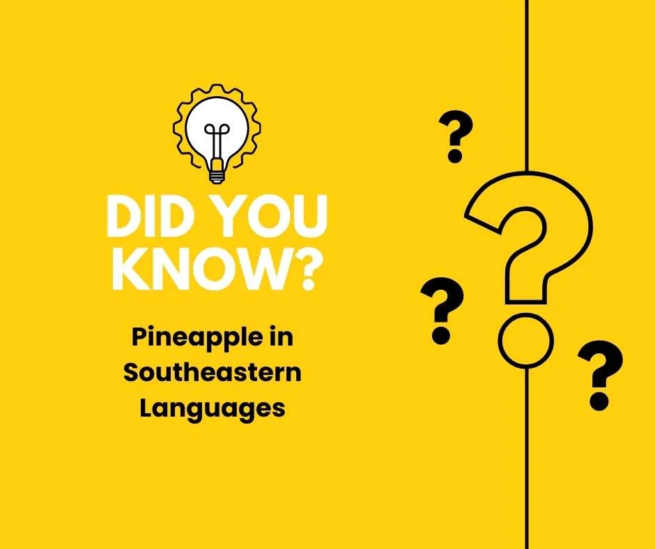 Pineapple in Southeastern Languages