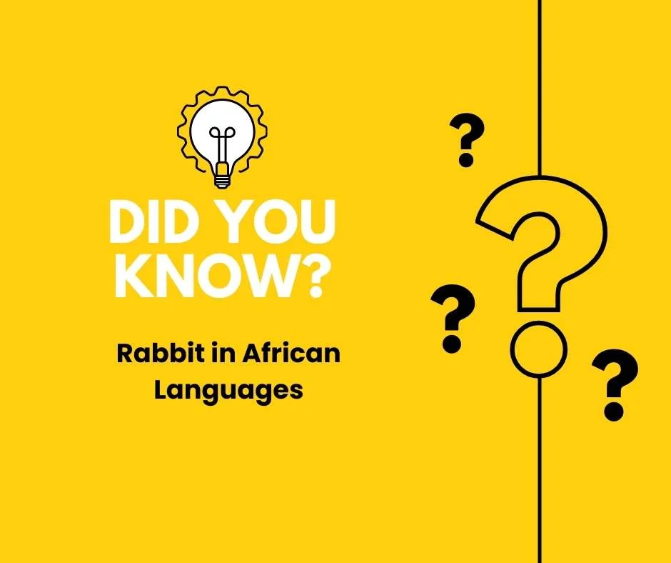 Rabbit in African Languages