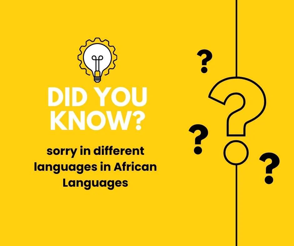 sorry in different languages in African Languages