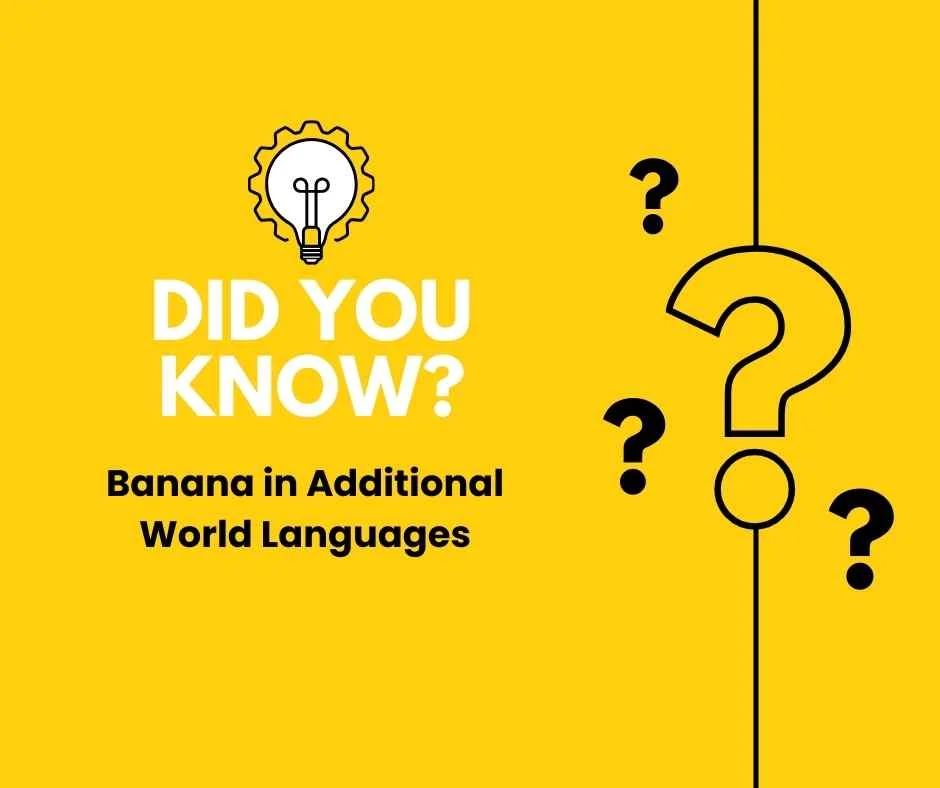 Banana in Additional World Languages