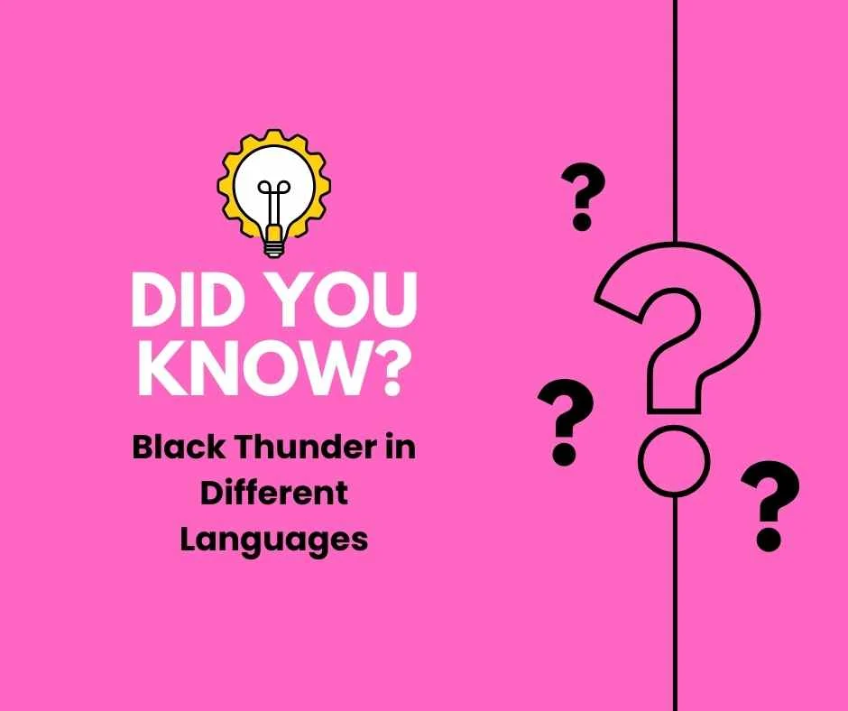 Black Thunder in Different Languages