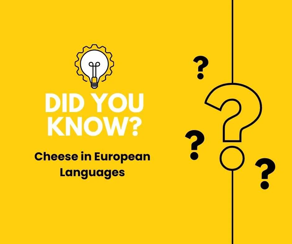 Cheese in European Languages