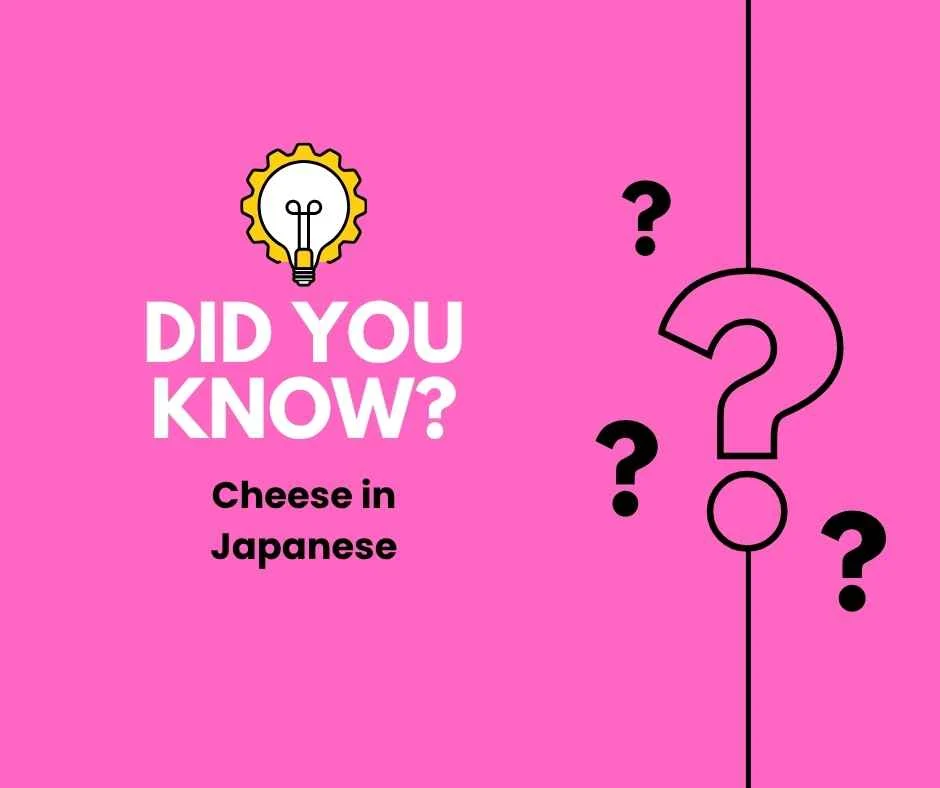 Cheese in Japanese