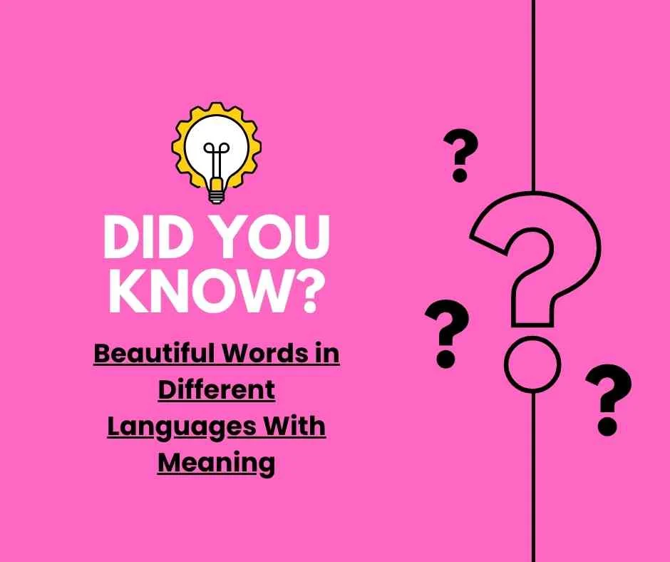 Beautiful Words in Different Languages With Meaning