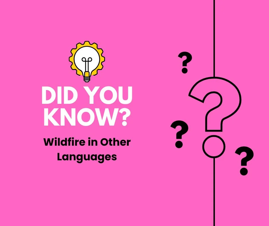 Wildfire in Other Languages