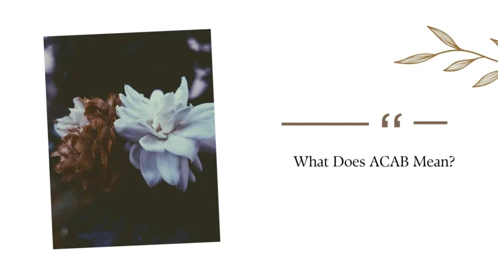 What Does ACAB Mean?