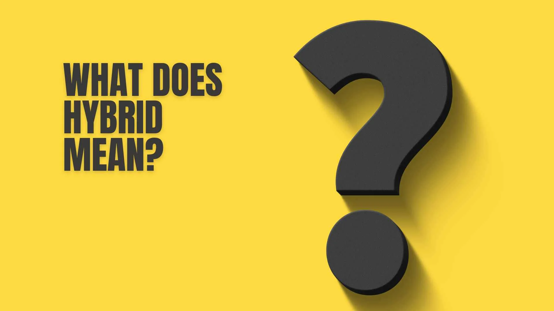 What Does Hybrid Mean?