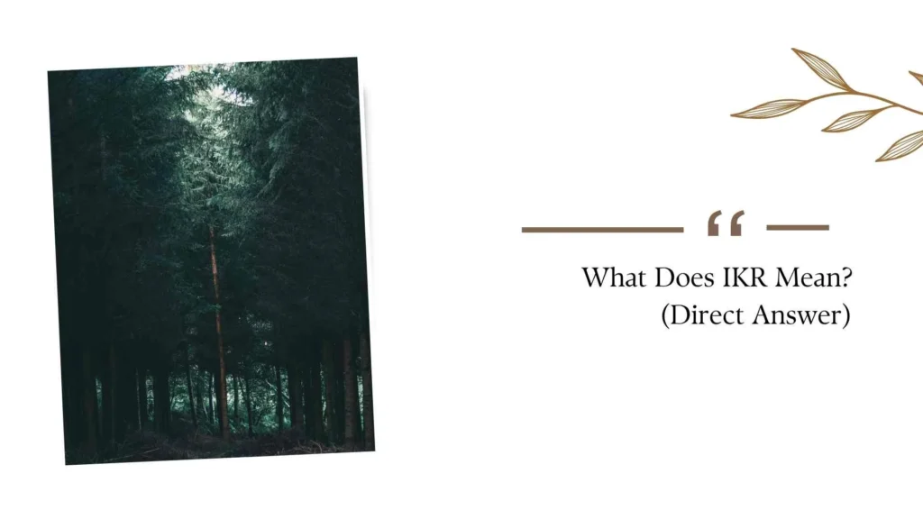 What Does IKR Mean?